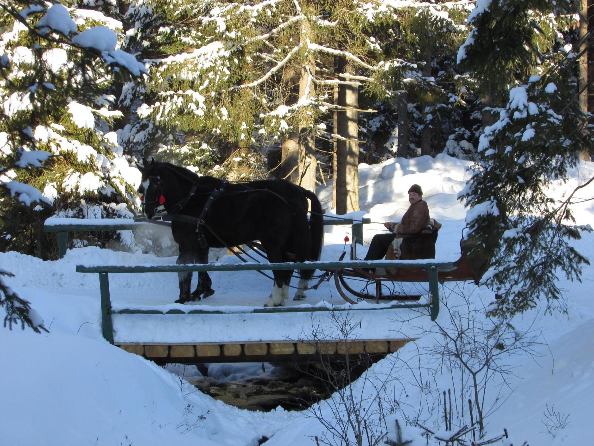Koliba Ski Gruniky Sihelne Экстерьер фото